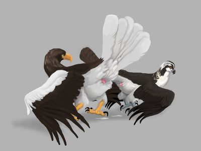 Eagle and Osprey Mating
art by latranscanis
Keywords: bird;avian;egale;osprey;male;feral;M/M;cloaca;suggestive;spooge;latranscanis