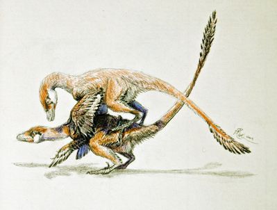Mating Dromaeosaurs
art by wanderingalbatross
Keywords: dinosaur;theropod;raptor;dromeosaurus;male;female;feral;M/F;from_behind;wanderingalbatross