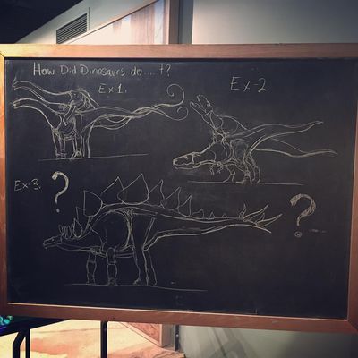 Dinosaurs Mating
unknown creator
Keywords: dinosaur;sauropod;apatosaurus;stegosaurus;theropod;tyrannosaurus_rex;trex;male;female;M/F;from_behind
