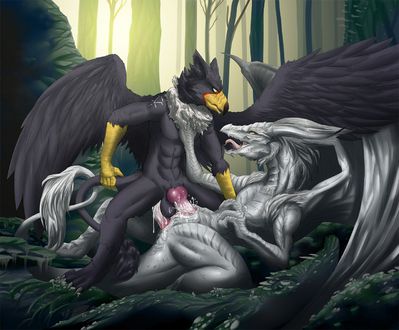 Double Mating
art by mirapony
Keywords: dragon;dragoness;gryphon;male;female;feral;M/F;missionary;penis;vagina;vaginal_penetration;anal;double_penetration;spooge;mirapony