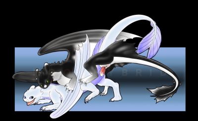 Furies Mating
art by MoonHybrid
Keywords: how_to_train_your_dragon;httyd;night_fury;dragon;dragoness;male;female;feral;M/F;penis;from_behind;vaginal_penetration;spooge;Moonhybrid