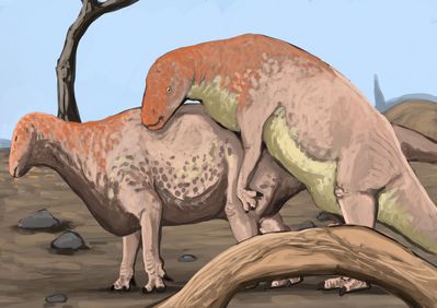 Iguanodon Mating
art by namodinosaur
Keywords: dinosaur;hadrosaur;iguanodon;male;female;feral;M/F;from_behind;namodinosaur