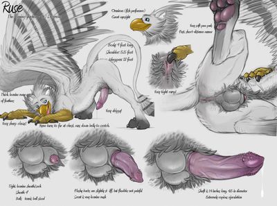 Gryphon Sheet
art by narse
Keywords: gryphon;male;feral;solo;penis;closeup;reference;narse