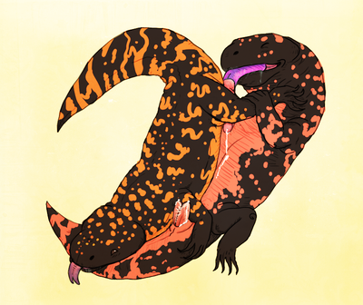 Gila Monster Orally Pleasured
art by nomorewords
Keywords: lizard;gila_monster;male;feral;M/M;penis;hemipenis;69;oral;spooge;nomorewords