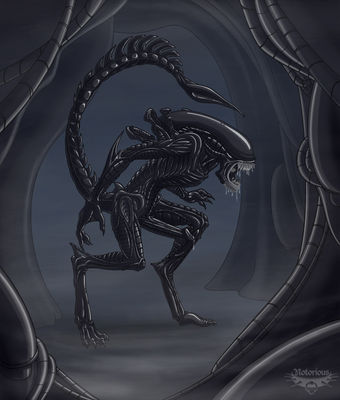Xenomorph With Cock
art by notorious84
Keywords: alien;xenomorph;male;feral;solo;penis;notorious84
