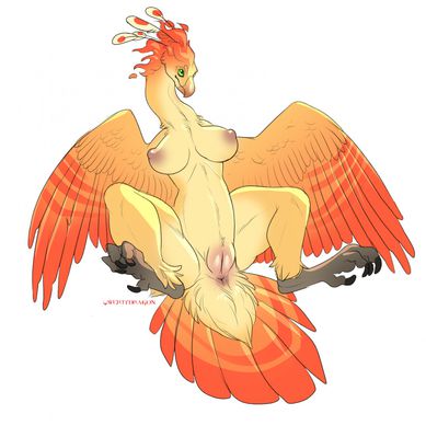 Phoenix Exposed
art by qwertydragon
Keywords: avian;bird;phoenix;female;anthro;breasts;solo;vagina;qwertydragon