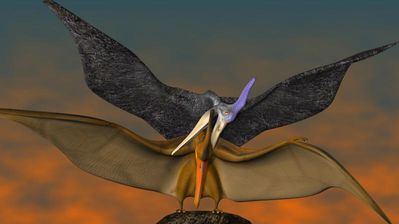 Pterodactyls Mating
unknown creator
Keywords: dinosaur;pterodactyl;male;female;feral;M/F;from_behind;cgi