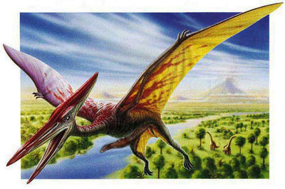 Pterodactyl
unknown artist
Keywords: dinosaur;pterodactyl;male;feral;solo;penis