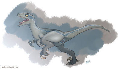 Blue My Waifu
art by ratofdrawn
Keywords: jurassic_world;dinosaur;theropod;raptor;deinonychus;blue;female;feral;solo;cloaca;ratofdrawn