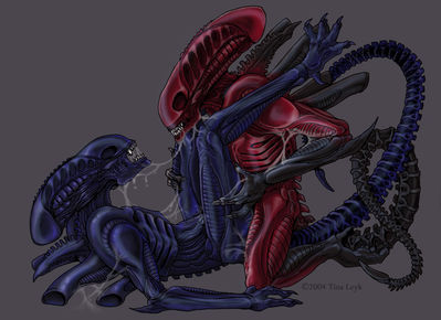 Red vs Blue
art by tina_leyk
Keywords: alien;xenomorph;anthro;male;M/M;missionary;anal;spooge;tina_leyk