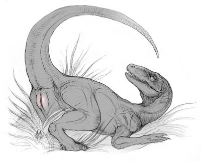 Prehistoric Play
art by reskaro
Keywords: dinosaur;theropod;raptor;female;feral;solo;vagina;presenting;reskaro