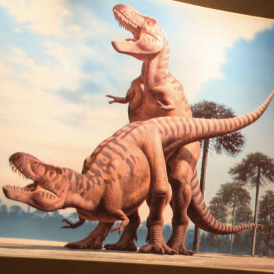 Rex Mating Exhibit
art by raul_martin
Keywords: dinosaur;theropod;tyrannosaurus_rex;trex;male;female;feral;M/F;from_behind;museum;raul_martin