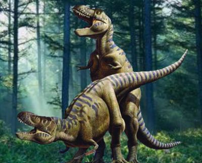 Rex Mating
art by raul_martin (with added background)
Keywords: dinosaur;theropod;tyrannosaurus_rex;trex;male;female;feral;M/F;from_behind;raul_martin