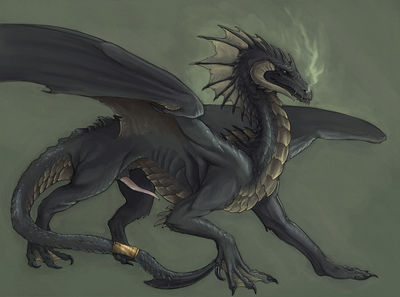 Black Dragon (DnD)
art by rhnn531136
Keywords: dungeons_and_dragons;black_dragon;dragon;feral;male;solo;penis;rhnn531136