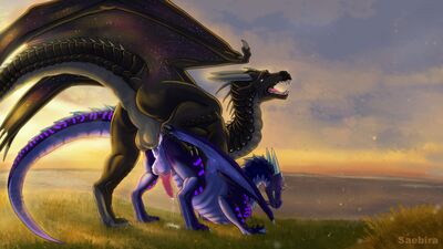 Nightwing Mounts a Seawing (Wings_of_Fire)
art by saebira or sinvelia
Keywords: wings_of_fire;nightwing;seawing;dragon;male;feral;M/M;penis;from_behind;anal;spooge;saebira;sinvelia