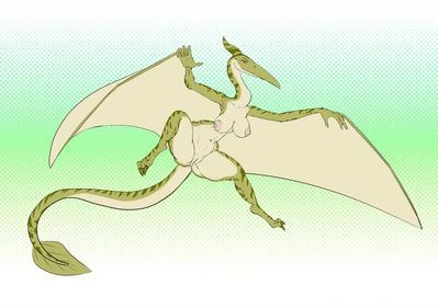 Pteranodon
art by Sanfingulipunrapin
Keywords: dinosaur;pterodactyl;female;anthro;breasts;solo;vagina;Sanfingulipunrapin