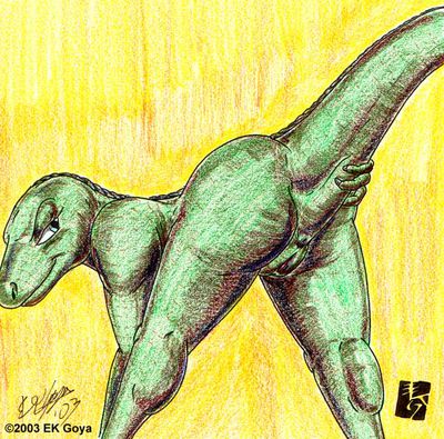 Raptor Butt
art by EK-Goya
Keywords: dinosaur;theropod;raptor;female;feral;anthro;vagina;presenting;EK-Goya