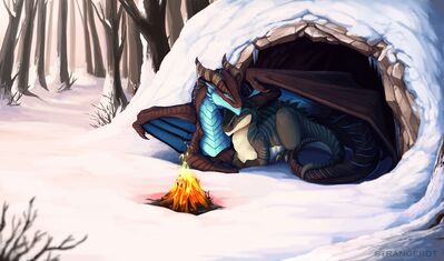 A Warm Campfire
art by strangerot
Keywords: dragon;feral;non-adult;romance;strangerot