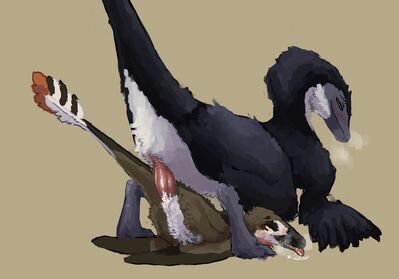 Saurornithoides and Scaphognathus 1
art by sweetmarrow
Keywords: dinosaur;theropod;pterodactyl;aurornithoides;scaphognathus;male;female;feral;M/F;penis;from_behind;cloacal_penetration;spooge;sweetmarrow