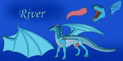 River (Wings_of_Fire)
art by tylbo_dergun
Keywords: wings_of_fire;seawing;dragon;male;feral;solo;penis;closeup;reference;tylbo_dergun