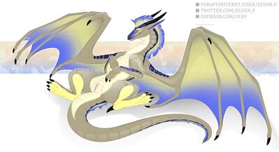 Sandwing Showing Off (Wings_of_Fire)
art by ulven-f
Keywords: wings_of_fire;sandwing;hybrid;dragoness;female;feral;solo;vagina;ulven-f