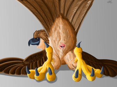 Eagle Eye View
art by uni999
Keywords: bird;avian;eagle;male;feral;solo;cloaca;spooge;closeup;uni999