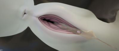 Miraroo Vagina Closeup
art by whiteperson
Keywords: dragoness;furry;cetacean;dolphin;hybrid;female;feral;solo;vagina;closeup;spooge;cgi;whiteperson
