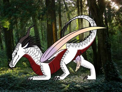 Like What You See? (Wings_of_Fire)
art by windchill14
Keywords: wings_of_fire;icewing;skywing;hybrid;dragon;male;feral;solo;penis;windchill14