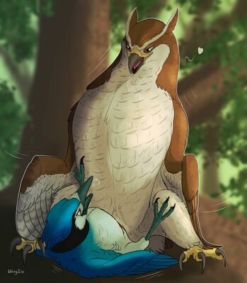 Goshawk and Bluejay
art by wingz31
Keywords: avian;bird;goshawk;bluejay;corvid;male;female;feral;M/F;cowgirl;suggestive;wingz31