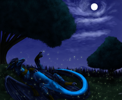 Under The Night Sky
art by xeshaire
Keywords: dragon;male;feral;solo;sheath;xeshaire