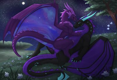 Under a Starry Sky
art by zenrii
Keywords: dragon;dragoness;male;female;feral;M/F;penis;cowgirl;vaginal_penetration;spooge;zenrii