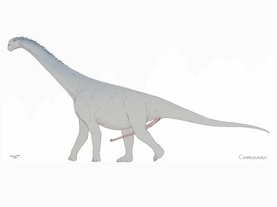 Camarasaurus
art by zw3
Keywords: dinosaur;sauropod;camarasaurus;male;feral;solo;penis;zw3