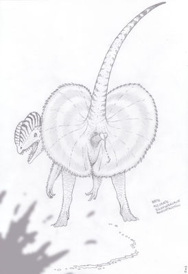 Dilophosaurus
art by zw3
Keywords: dinosaur;theropod;dilophosaurus;male;feral;solo;penis;spooge;humor;zw3
