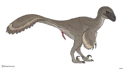 Dromeosaurus
art by zw3
Keywords: dinosaur;theropod;raptor;dromeosaurus;male;feral;solo;penis;zw3
