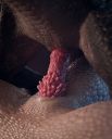 Filename=1d-z_closeup.jpg
Filesize=404KiB
Dimensions=1614x2000
Date added=Jul 21, 2026 1d-z_closeup.jpg