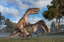 Monolophosaurus2.jpg