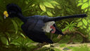 Technesaurus_Great_Curassow.jpg