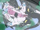 adrim_against_the_glass.gif