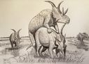 diabloceratops_eatoni_by_franz_josef73.jpg
