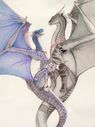 dragons-and-drawings_nightwings.jpg