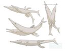 gabrielugueto_thalattosuchus_mating.jpg