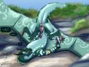 gray-scales_turtle_wof~0.jpg