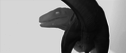 keyfeather_prehistoric_view.png