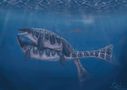 mosasaurus_hoffmanni_pair_by_fossilpro.jpg