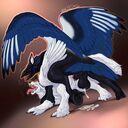 nitrods_hippogryph_mounting.jpg