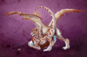 silverybeast_pearlcatcher_dragon.png