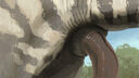 Filename=technesaurus_dinosaur_penis.jpg
Filesize=1993KiB
Dimensions=1920x1080
Date added=Jun 05, 2025 technesaurus_dinosaur_penis.jpg