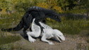 Filename=thatman_jinnoaka_dinos1.gif
Filesize=1249KiB
Dimensions=475x267
Date added=Sep 03, 2025 thatman_jinnoaka_dinos1.gif