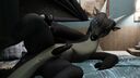 Filename=thundertrove_nightwing_wof.jpg
Filesize=135KiB
Dimensions=2048x1152
Date added=Sep 02, 2025 thundertrove_nightwing_wof.jpg