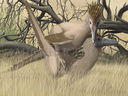 velociraptor_mongoliensis_mating_season_by_puntotu.jpg